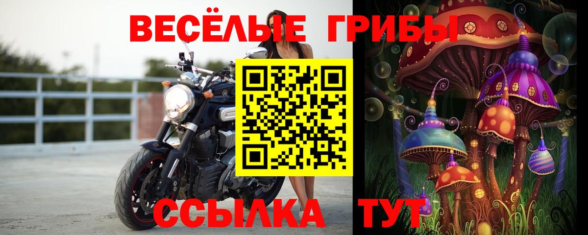 Галлюциногенные грибы GOLDEN TEACHER  Псилоцибиновые грибы Psilocybe  Вход с VPN  Лесозаводск 